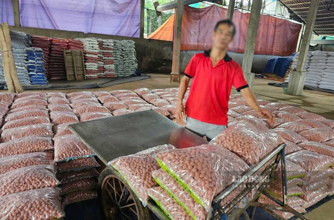 Nhiều cơ sở sản xuất phân bón ở Lào Cai bất ngờ khóa cửa, chuyển hàng hóa đi nơi khác