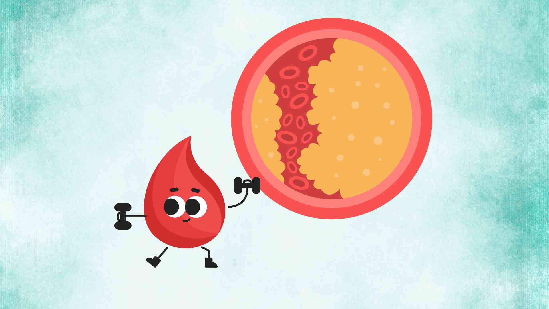 혈중 지방을 깨끗하게 씻어내는 5가지 황금 식품. 그래픽 이미지: 호앙록