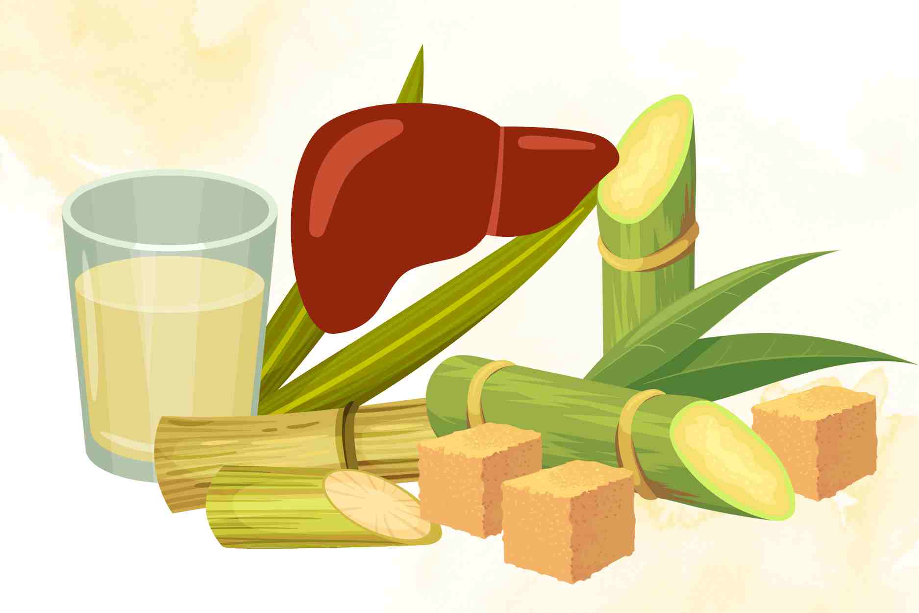 Mango juice helps detoxify and cool the liver thanks to natural mechanisms