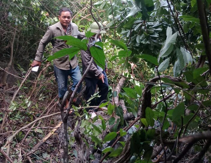 La gente esta preocupada cuando muchas rocas estan atrapadas en los troncos en las altas colinas. Foto: Xuan Anh