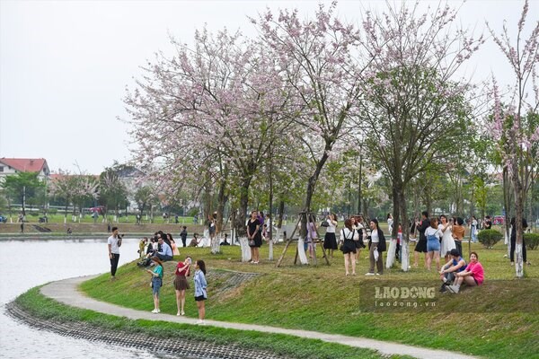 Bắc Ninh dự kiến có thêm KĐT và hồ điều hòa hơn 1.700 tỉ đồng