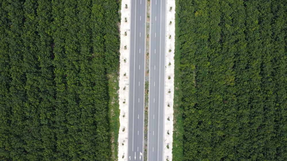 La provincia de Binh Duong esta promoviendo la compensacion por la adquisicion de tierras para dos proyectos de transporte importantes. Foto: Dinh Trong