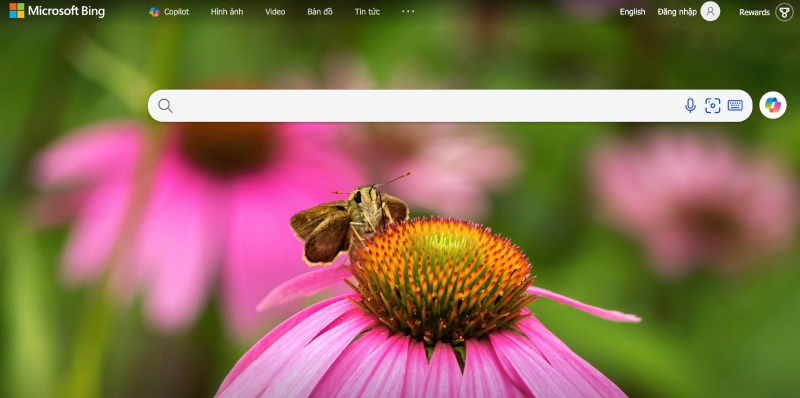 Microsoft integrates an AI video creation tool into the Bing search engine. Photo: Quang Minh