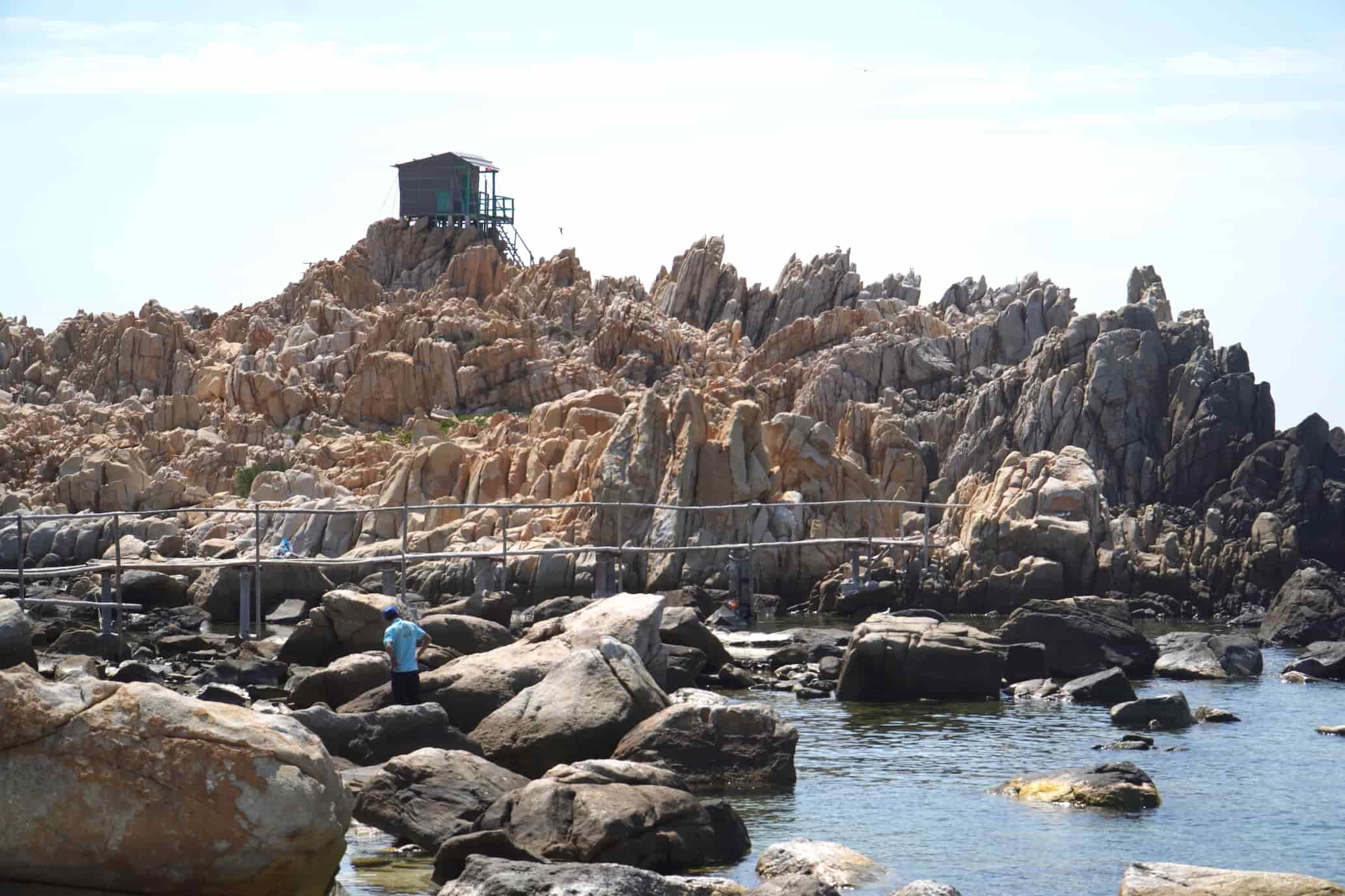 Hình ảnh khai thác yến sào tại Đảo Yến Nha Trang còn có tên gọi khác là Hòn Nội, nằm trong vịnh Nha Trang. Ảnh: Hữu Long