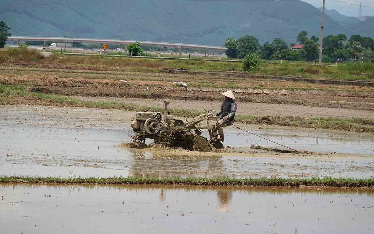Thợ máy cày cũng chạy đua làm đất thuê cho nông dân để gieo sạ. Ảnh: Trần Tuấn.