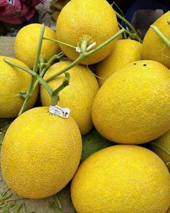 Muốn mắt sáng khỏe nên bổ sung dưa lưới vào chế độ ăn phụ. Ảnh: Quang Minh.