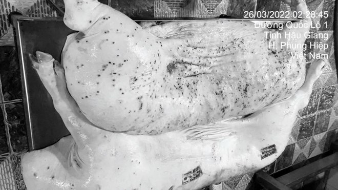 The image is said to be dirty meat mixed into the distribution system posted by the account owner on social media. Photo: Jonny Lieu