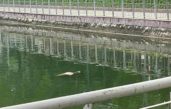 The man died at a lake in Van Ban district, Lao Cai province. Photo: Provided by the people