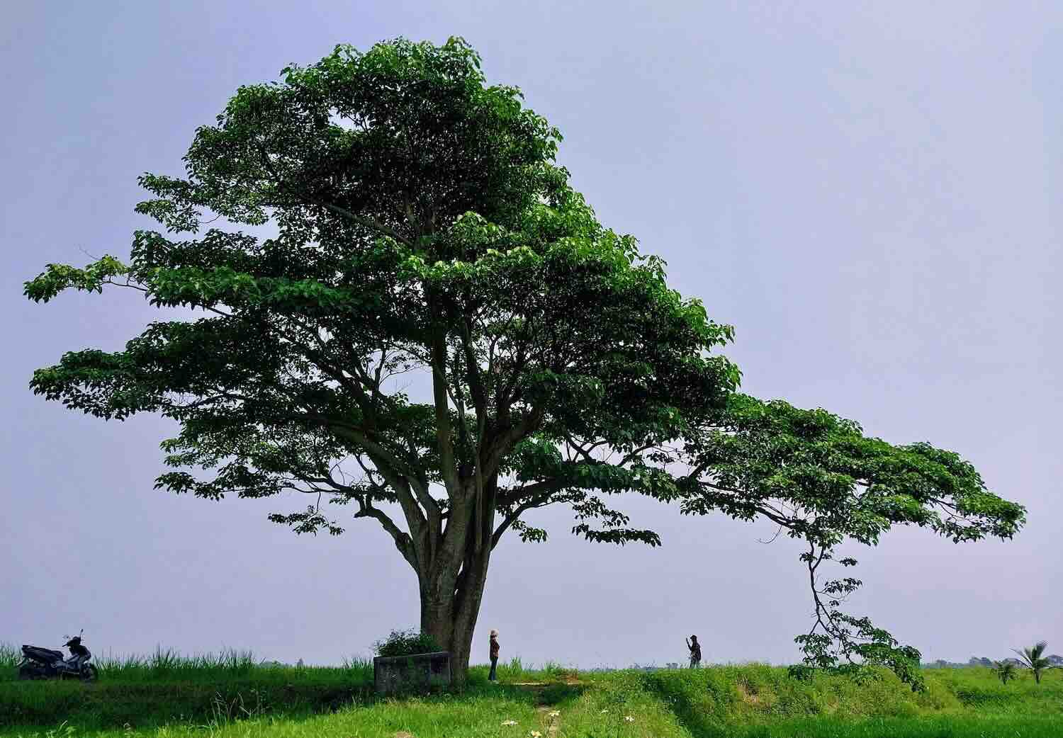 Lý giải điểm du lịch ở Huế hút khách nườm nượp một thời nay đìu hiu