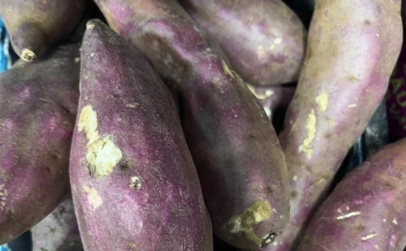With increasingly high blood sugar disorders, sweet potatoes are recommended for breakfast - the key time to determine stable blood glucose throughout the day. Photo: Quang Minh.