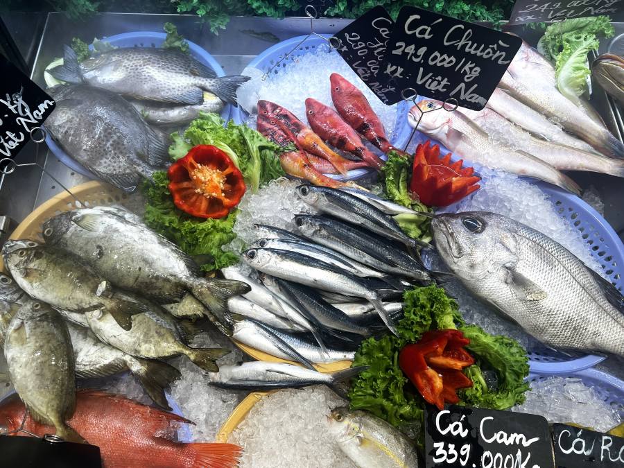 健康に良い魚を食べる。写真:Thanh Thanh