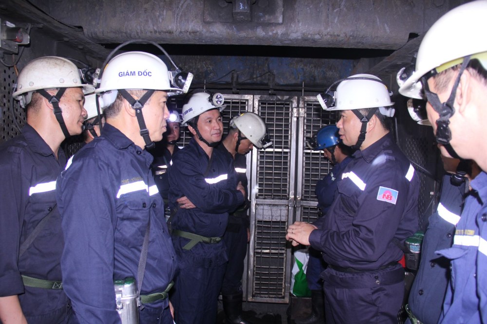 2025年上半期のTKVの主要な指標は、基本的に設定された計画目標を達成および超過しました。写真:TKV