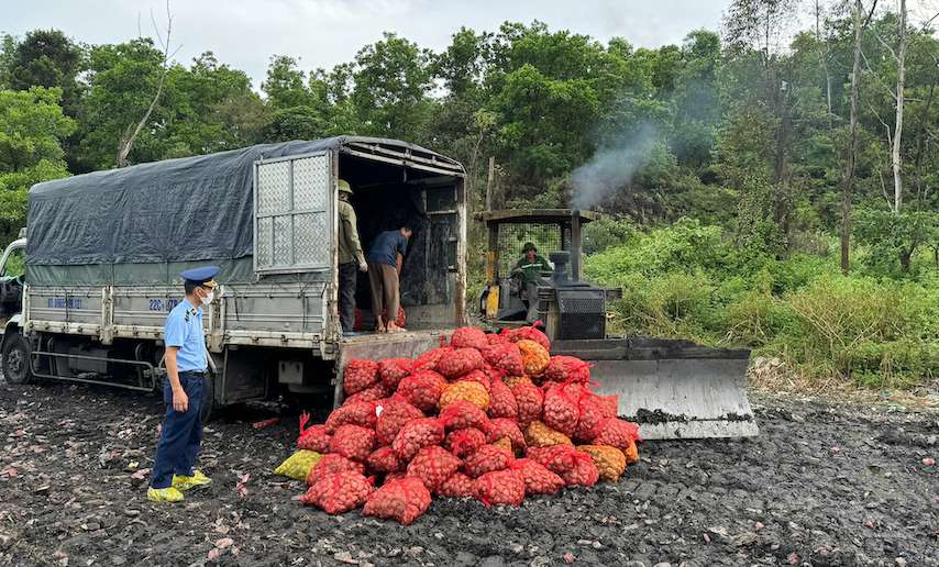 출처 불명의 바지락 굴 17톤 압수 몽까이에서 내륙으로 반입하여 소비. 사진: 꽝닌성 시장 관리국 지국