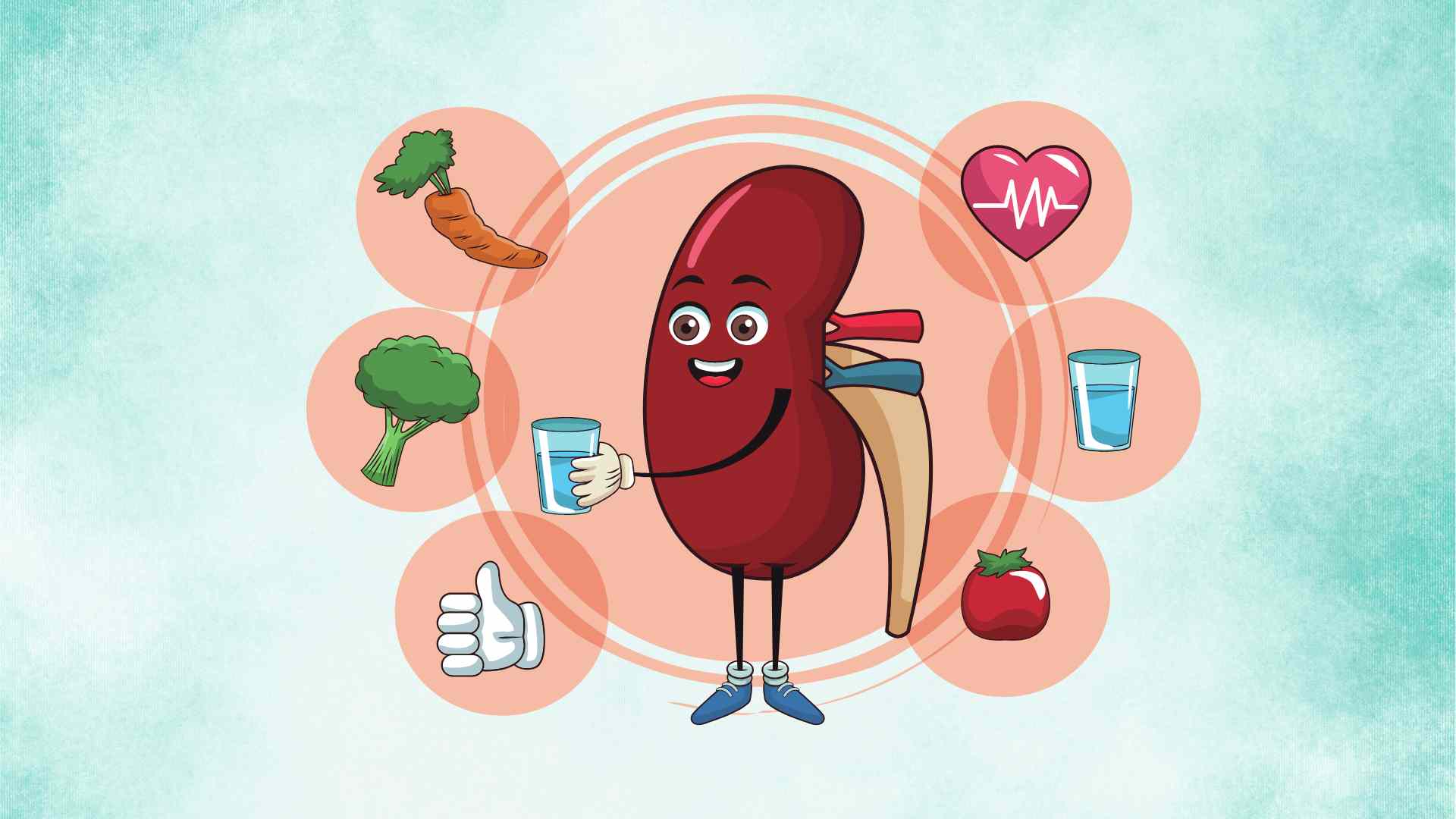 신장이 독소를 깨끗하게 걸러내는 데 매우 효과적인 3가지 음식. 사진 그래픽: 호앙록