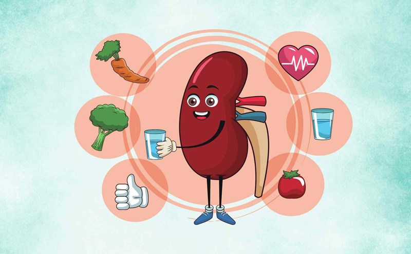 3 dishes that help the kidneys detoxify are extremely effective. Graphic photo: Hoang Loc