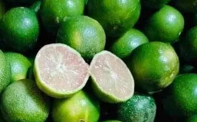 Drinking lemon water mixed with turmeric in the morning in the right ratio will support liver detoxification and is good for the kidneys. Photo: Kieu Vu