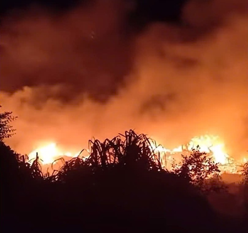 火災はバン・コ・マウンテンの頂上で勃発しました（トゥアン・ロング・コミューン、nghe州）。写真：ngoc anh