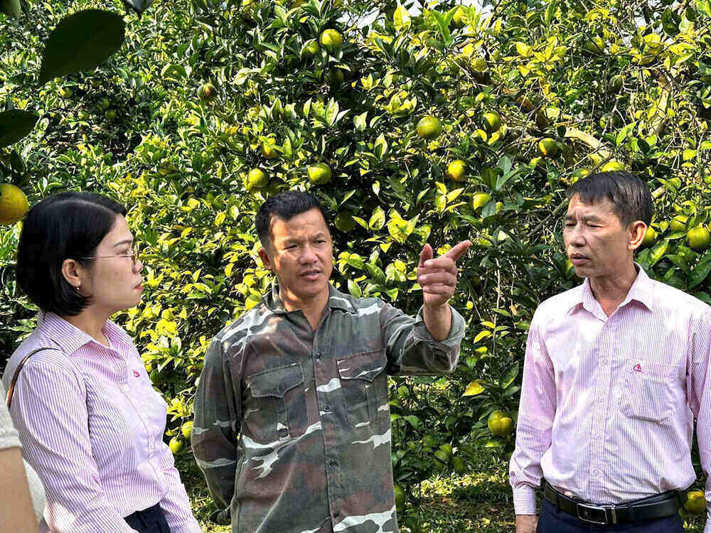 Ho vay von trao doi voi can bo NHCSXH ve phat trien kinh te gia dinh. Ảnh: Minh Uyen