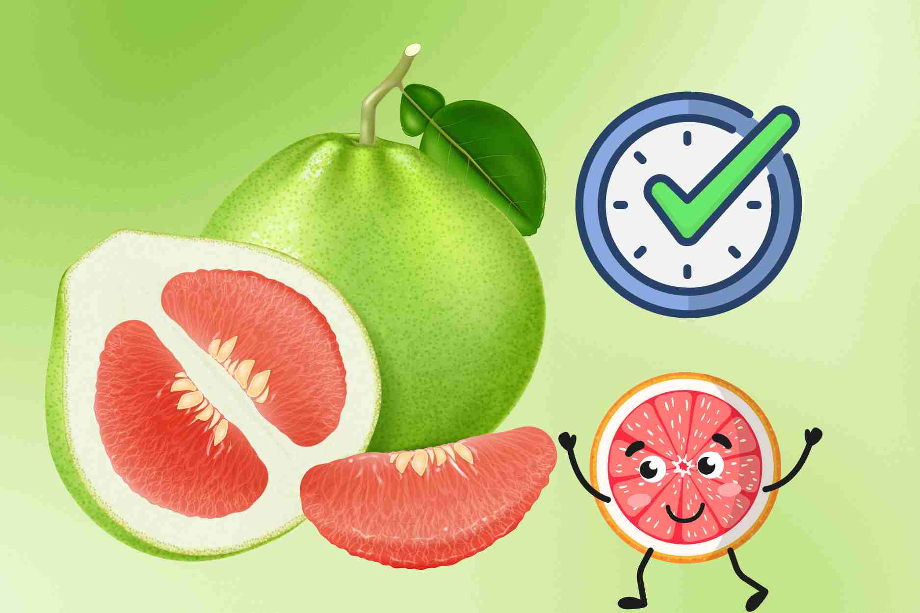 Tips for the golden time to eat grapefruit to support liver detoxification most effectively. Graphics: Dinh Dinh
