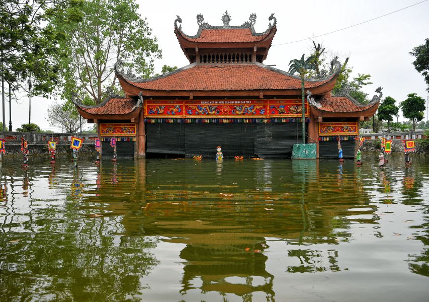 Thuy dinh soi bong (Dong Anh, Ha Noi).