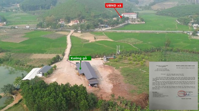 Hòa Bình xử phạt xưởng gỗ trái phép gần trụ sở UBND xã