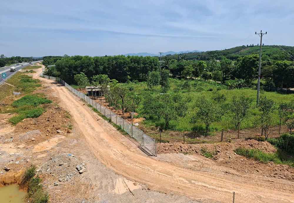The synthetic agricultural farm in Viet Tien commune was suddenly inspected. Photo: Tran Tuan.