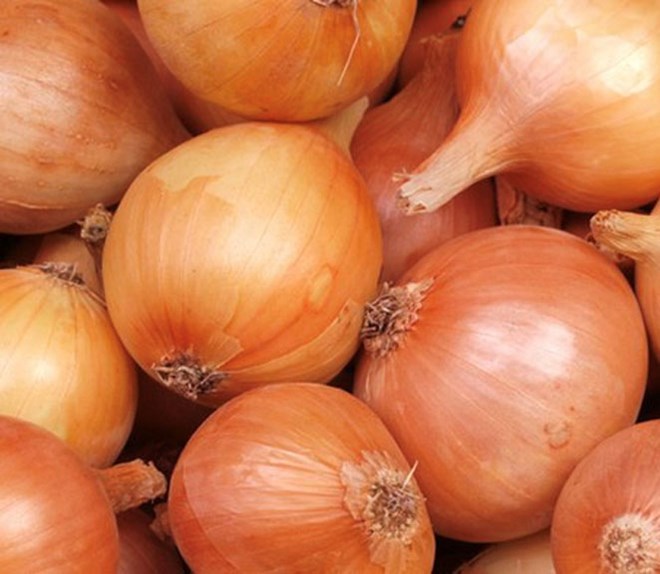 Tips on how to catch mosquitoes are extremely simple with just 1 onion. Photo: Kieu Vu