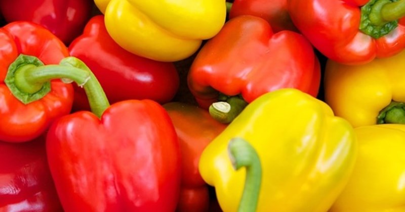 Bảo Vệ Thận Khỏe Mạnh: 4 Món Ăn Vàng Bà Nội Trợ Không Nên Bỏ Qua