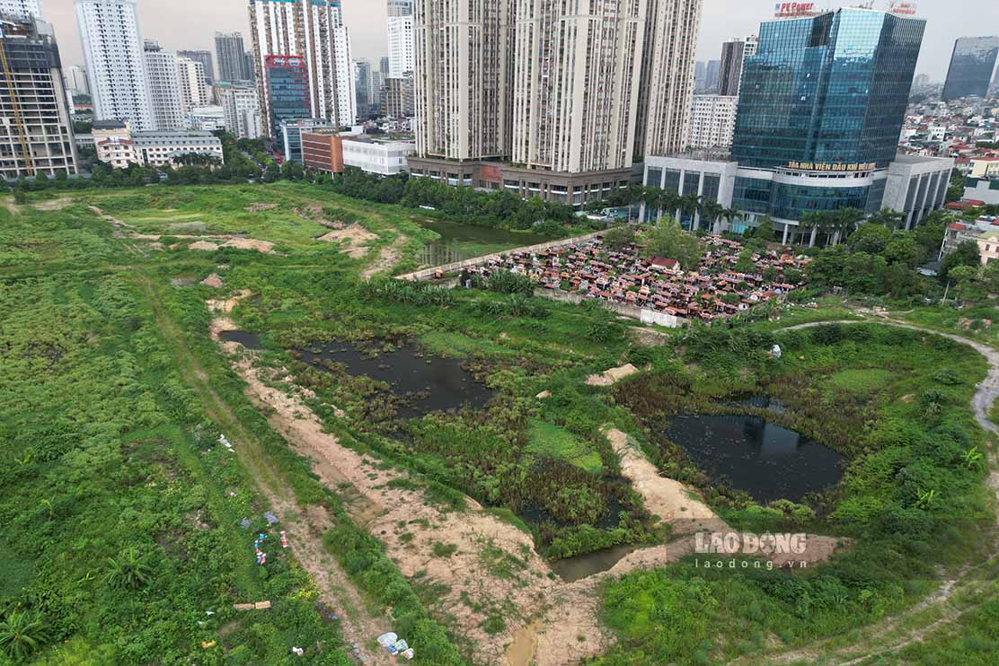 Park and flower garden projects are behind schedule, causing waste. Photo: Ngoc Thuy