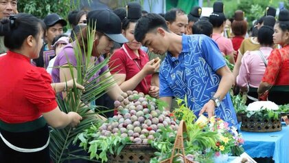 Man duoc phan loai theo kich co va chat luong