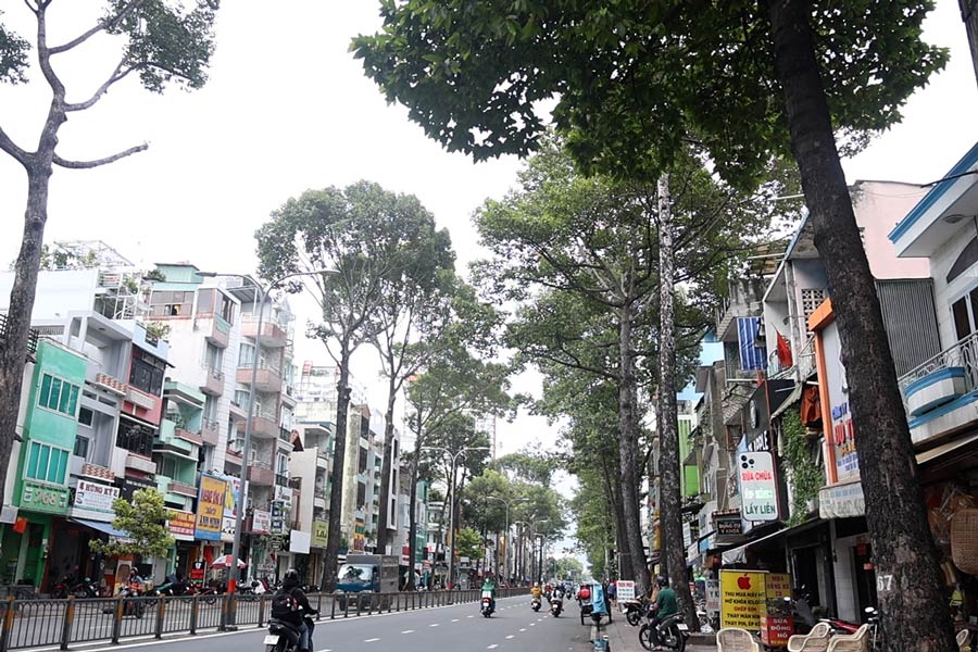 Las personas en la ciudad de Ho Chi Minh estan preocupadas por los arboles rotos, vierte en la cima de la temporada de lluvias