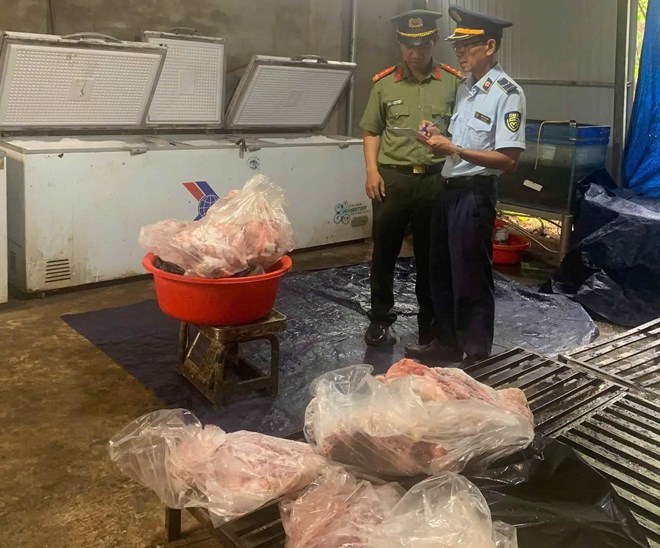 Đắk Lắk phát hiện gần 1 tấn thịt heo không rõ nguồn gốc