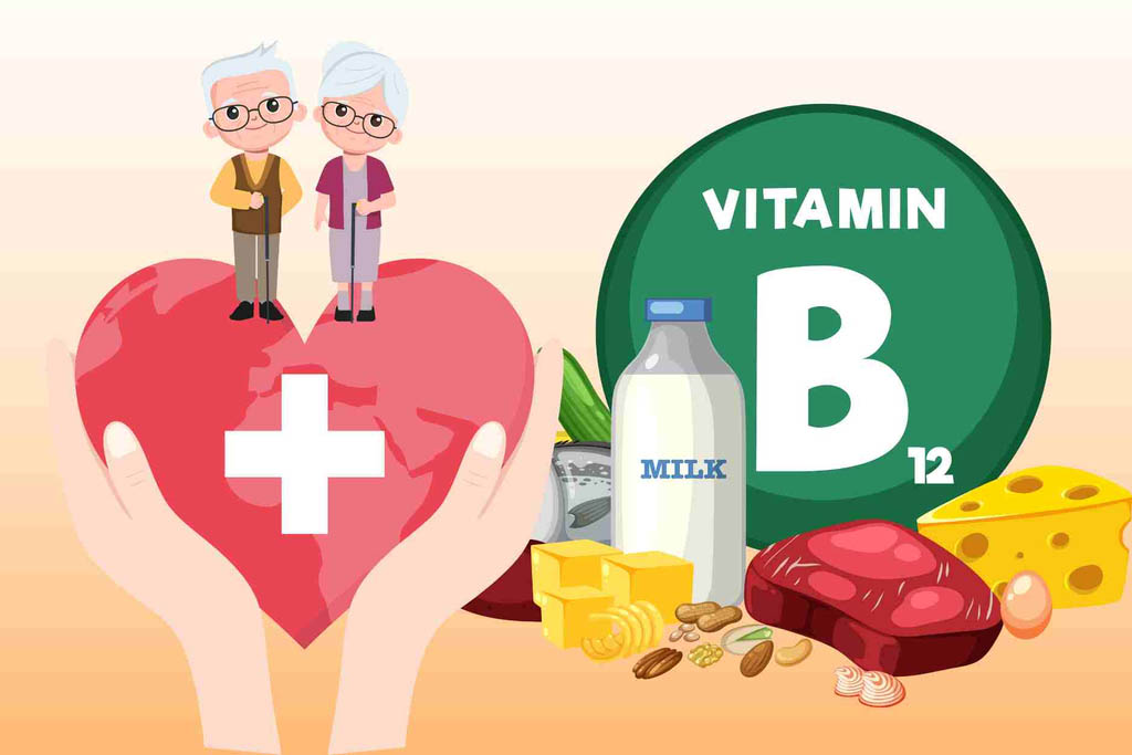 Why vitamin B12 is beneficial for the health of the elderly. Graphics: Dinh Dinh