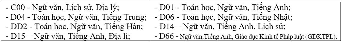Tổ hợp xét tuyển vào các ngành của Trường Đại học Khoa học xã hội và Nhân văn, Đại học Quốc gia Hà Nội. Ảnh: Nhà trường