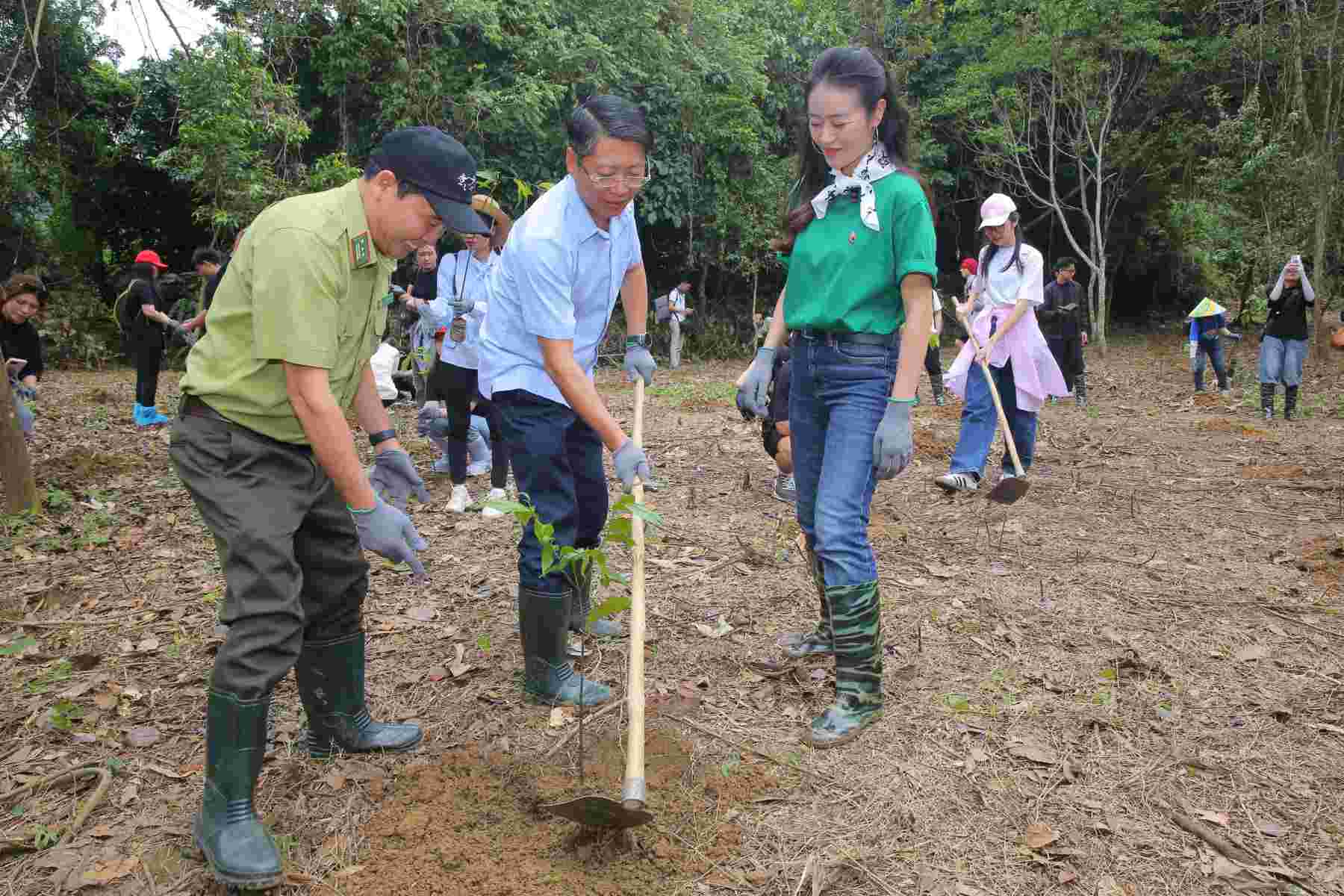 Los programas de forestacion en CUC Phuong atraen a una gran cantidad de personas y turistas a participar. Foto: The Hai