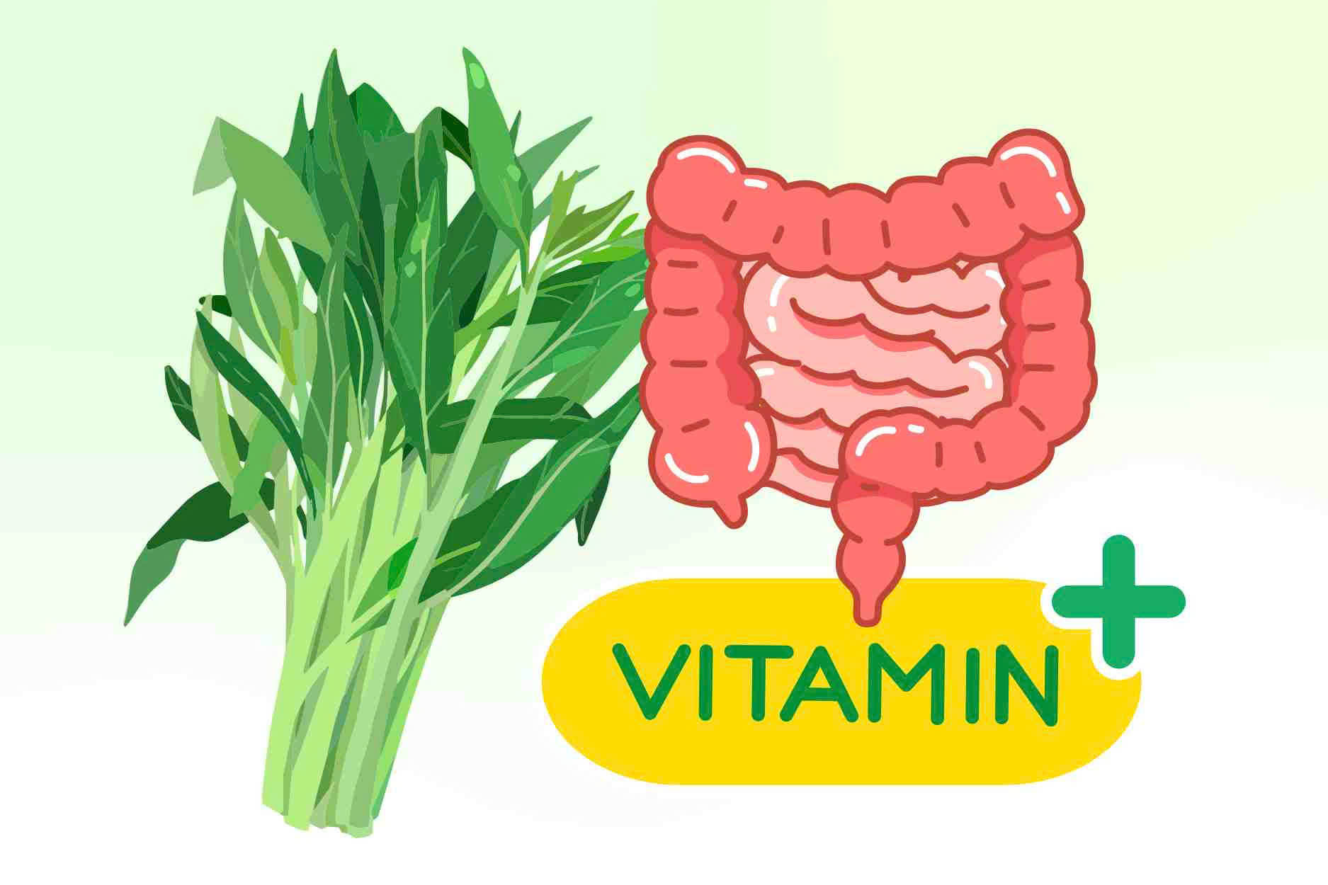 The truth that few people know about raw water spinach