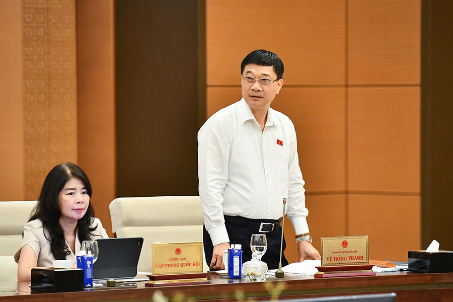 Phó Chủ tịch Quốc hội Vũ Hồng Thanh phát biểu. Ảnh: Quochoi