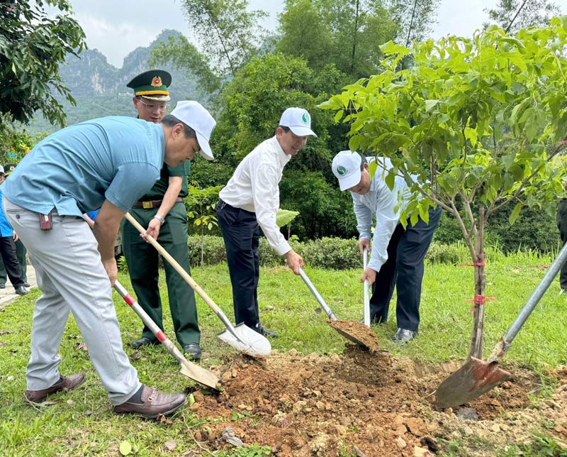 Trong cay xanh tai su kien. Anh: Tan Van
