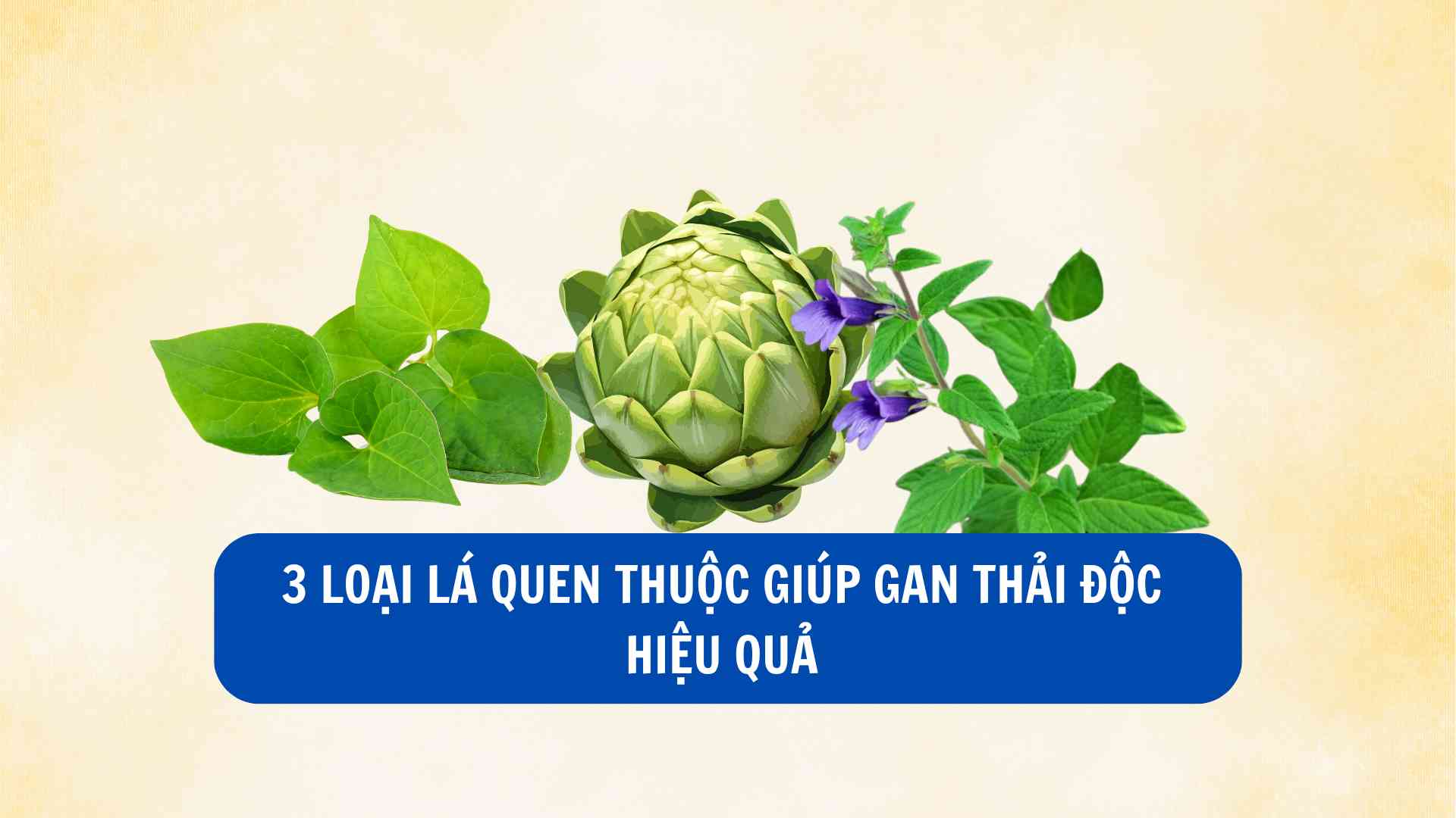 간 해독에 효과적인 3가지 친숙한 잎.