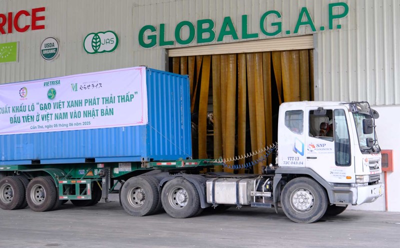 Rice exports to Japan. Photo: My Ly