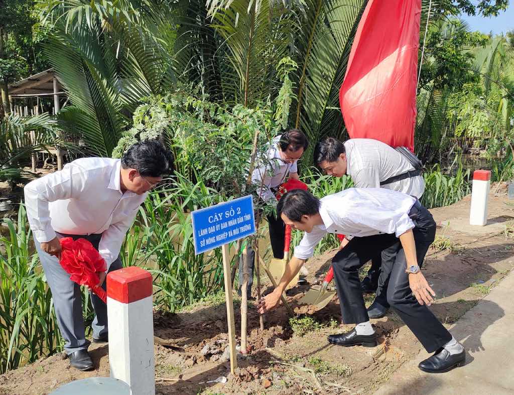 Ban to chuc thuc hien trong cay . Anh: Minh Cuong