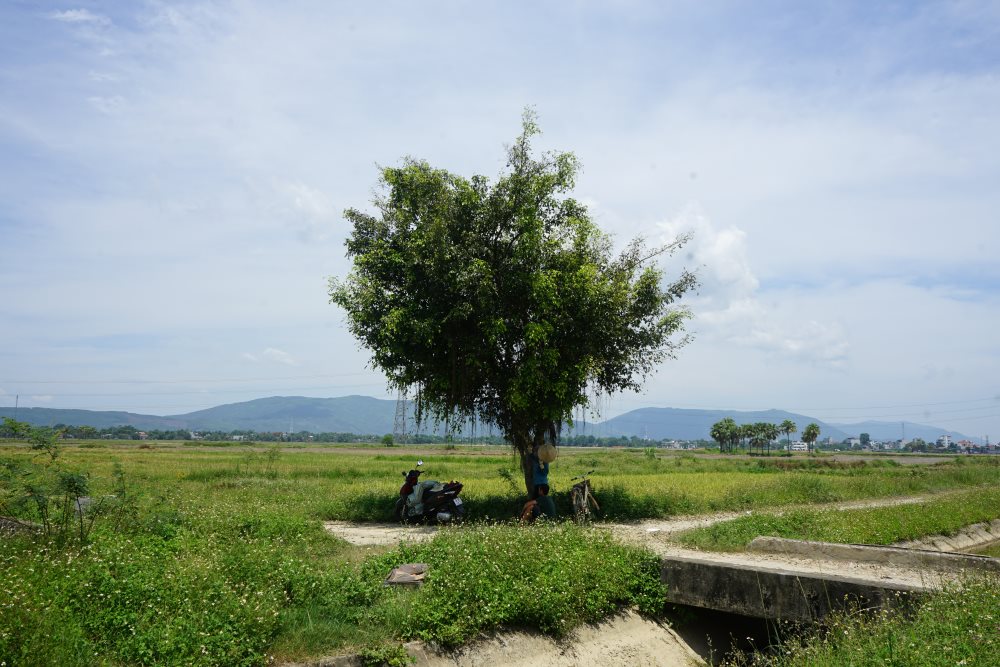 Northwest weather on June 6, sunny day, scattered showers and thunderstorms, locally heavy rain, average temperature from 23-35 degrees Celsius. Photo: Quach Du