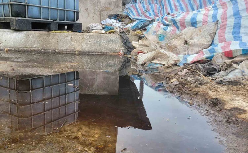 The stagnant water is black at the waste treatment plant in Ky Tan commune, where the inspection team had previously worked with this plant. Photo: Tran Tuan.