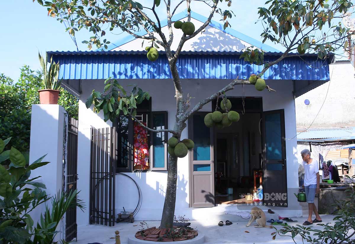 New, spacious booths of households in Nam Truc district, Nam Dinh province. Photo: Luong Ha