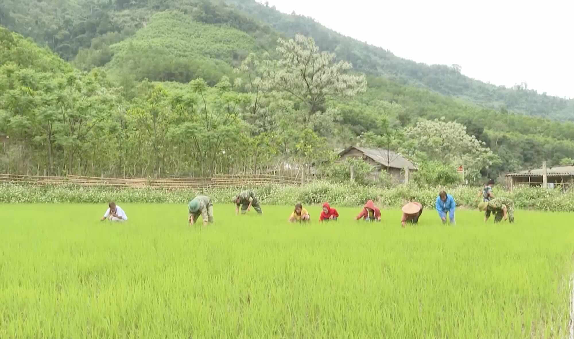 Las personas tienen muchas expectativas sobre el modelo de los niveles del gobierno local 2.