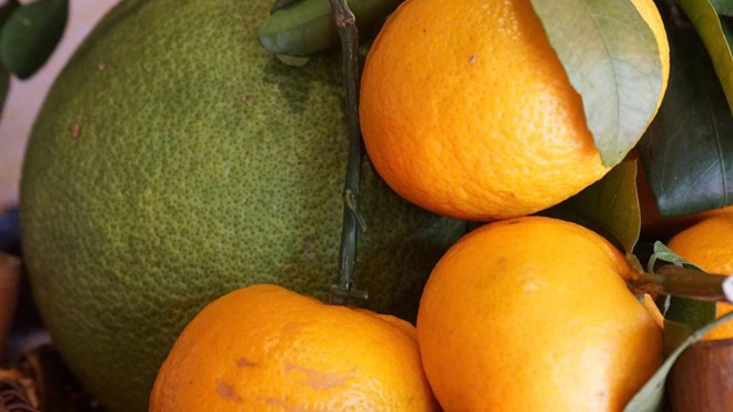 Citrus fruits are rich in fiber, which helps reduce constipation. Photo: Thanh Thanh