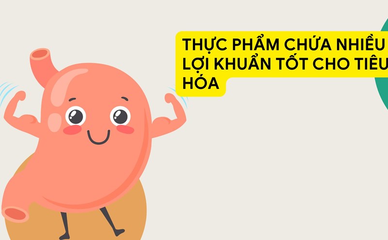 Some foods that are good for the digestive system. Graphic photo: HUENG SON