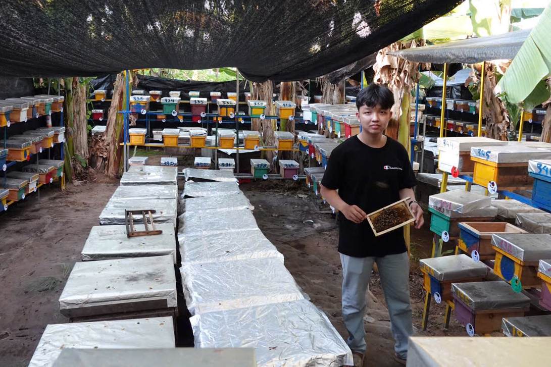 Tao da nhan dan thanh cong voi quy mo an tuong 400 thung mini chuyen nuoi ong chua. Anh: Ta Quang