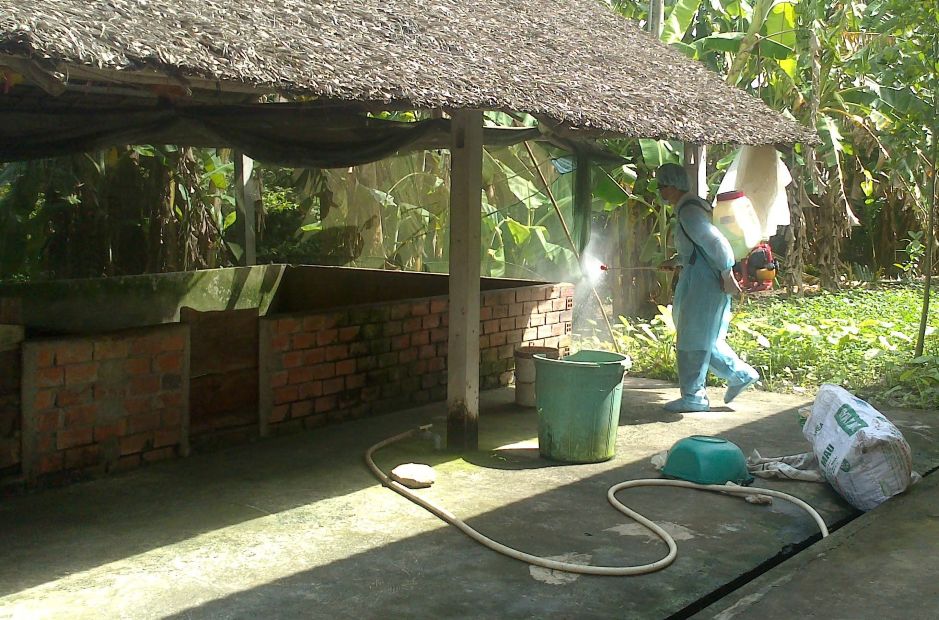Regularly clean, disinfect, and disinfect schools and pig farm buildings. Photo: Department of Agriculture and Rural Development of Soc Trang province