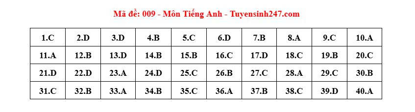 Dap an ma de 009 mon tieng Anh thi vao lop 10 tai Ha Noi. Anh: Tuyensinh247